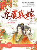 尔虞我嫁epub