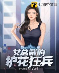 女总裁的护身兵王