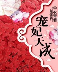 书名:宠妃天下