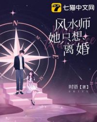 风水师她只想离婚小说