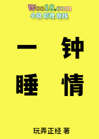 一日钟情小说