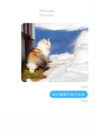 猫咪不能听什么声音