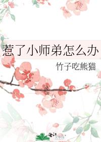 惹了小师弟怎么办类似