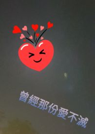 曾经那份爱不灭是什么歌