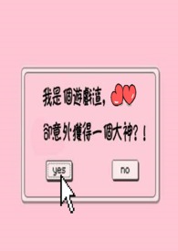 我是个游戏bug什么意思