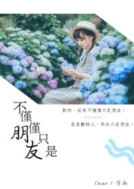 不仅仅是朋友 小说