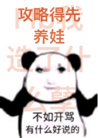 攻略成功以后 小说