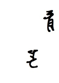 青盲剧情介绍分集