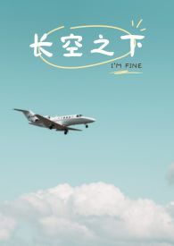 长空之王导演