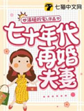 70年代二婚妻番外