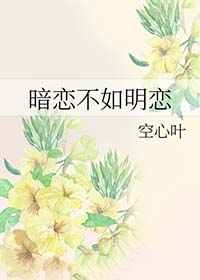 暗恋不如明恋 小说