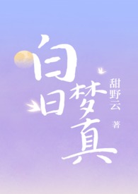 白日梦小说介绍