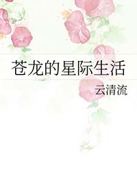 苍龙星宿是什么意思