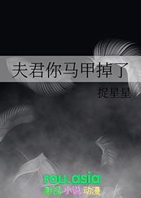 夫君又掉马甲了免费