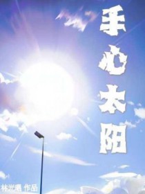 手心太阳林光曦番外