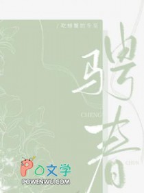 骋春小说讲什么