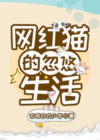 20个网红猫视频