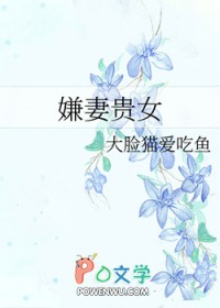 小说 贵妻