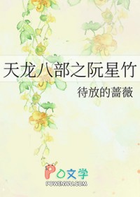 《天龙八部之阮星竹》