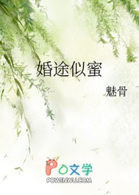 婚途似蜜小说