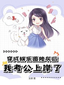 我考公上岸了TXT