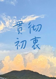 贯彻初衷小说po