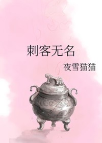 刺客无名百度百科