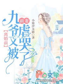 前妻九胞胎小说