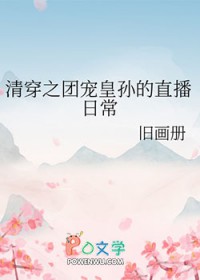 清穿之团宠的小说