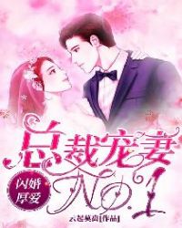 闪婚厚爱：总裁宠妻NO