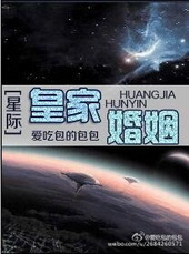 星际系统匹配婚姻