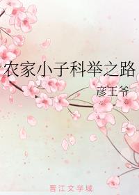 农家小子科举之路 小说