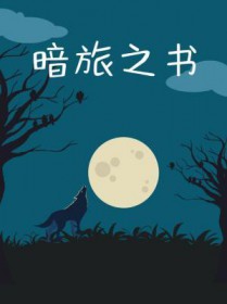 暗夜之旅综漫txt百度云