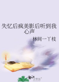 失忆后我火了小说在线阅读