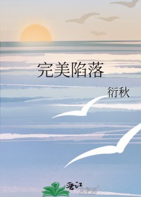 完美陷阱电视剧日剧