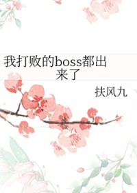 我打过很多boss