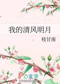 清风明月偷我心小说